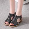 2025 Summer Korean Version of Women's Sandals Fish Mouth Side Zipper Women's Shoe Manufacturer