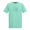 Regatta Mens Cline IX Sea Wave T-Shirt