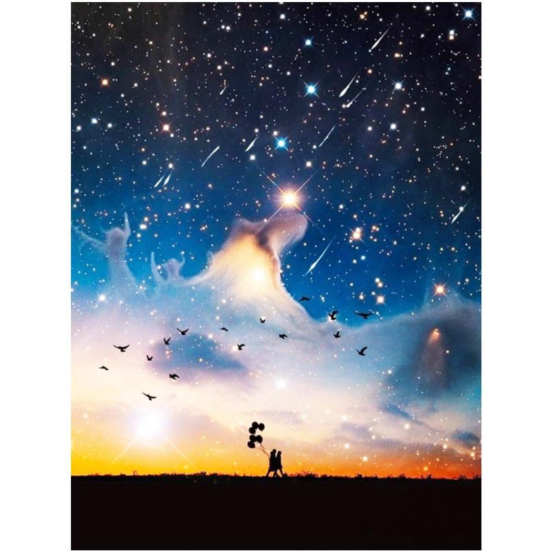 5D DIY Алмазная картина Луна Вид Алмазная вышивка Набор для вышивки крестом Полный горный хрусталь Мозаика Домашний декор