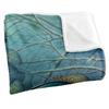 JQ Licensing Silky Crappie Fishing Supersoft Blanket