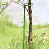 Набор из 5 гибких регулируемых пластиковых опор для растений Flexi Plant с надежным опорным кольцом. Универсальные садовые колышки для комнатных растений