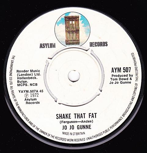 7-дюймовая пластинка JO JO GUNNE Shake That Fat AYM507 Asylum Records 1972 UK Rock Б/у