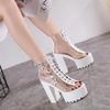 Fashion 14.5CM Women's Square Heels Boots High Transparent Female Thick Platform Waterproof Nightclub Catwalk Sandals
