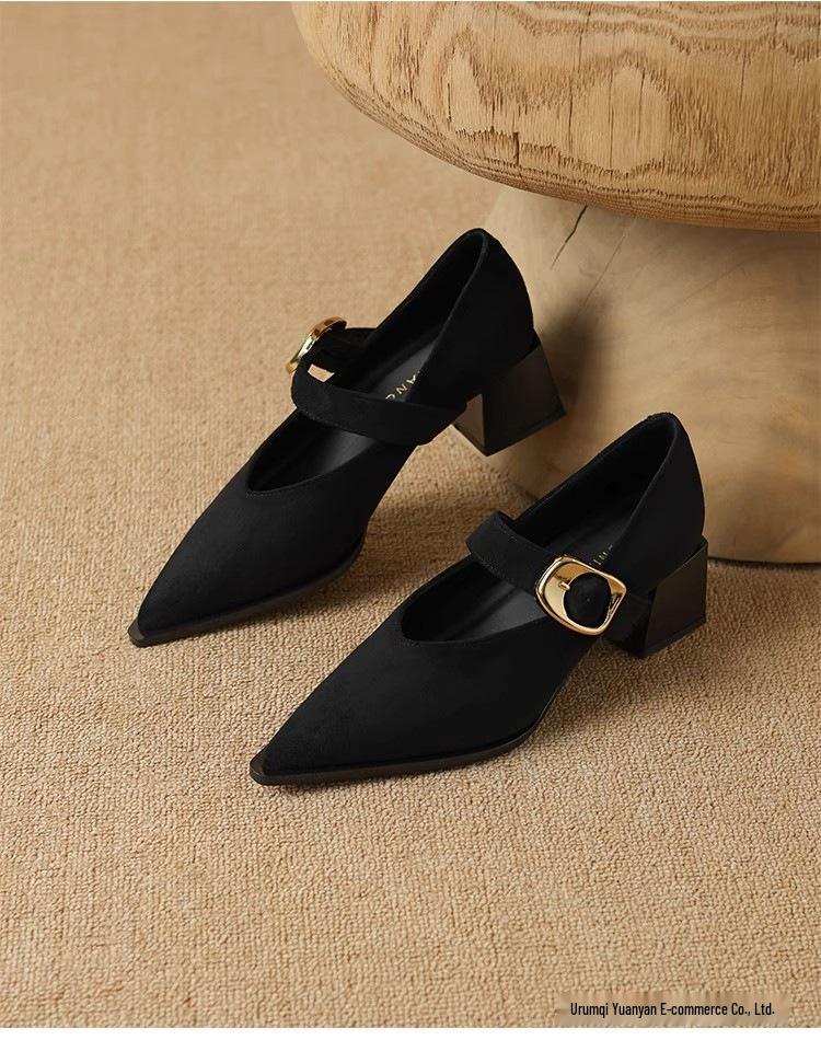 Французские ретро туфли Мэри Джейн на высоком каблуке - Изысканный стиль Весна/Осень 2025 для женщин с острым носком, идеально подходят к юбкам.