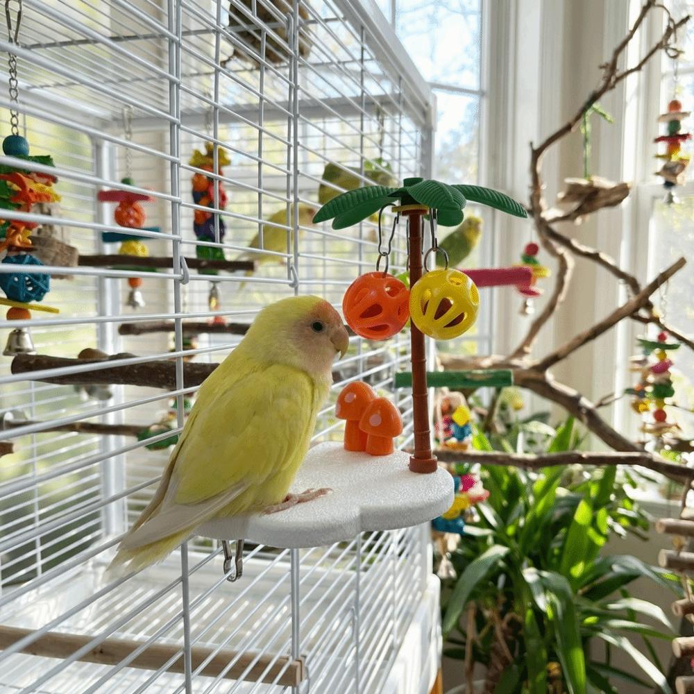 Detachable Bird Perch Stand Coconut-shaped Parrot Play Stands Perches on Platforms