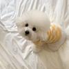 Bixin Pet Knitted Sweater Fashion Checkerboard Dog Clothes Teddy Bichon Pomeranian Cat VIP Autumn And Winter Clothes