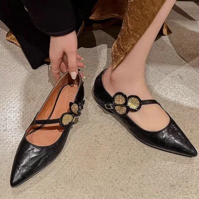 Модная женская обувь на плоской подошве 2025 Весна Осень Французская мода Новые лоферы с острым носком Женская обувь класса люкс