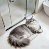 Super Absorbent Cute Cat Diatom Floor Mat Bedroom Door Small Rug  Living Room Tea Table Bedside