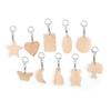 Wooden Assorted Shapes Keyring (10 Pieces)