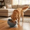 Suction Cups Silicone Pet Bowl Neck Protection Elevated Feeder Portable Dog Food Bowl  Pet Dining