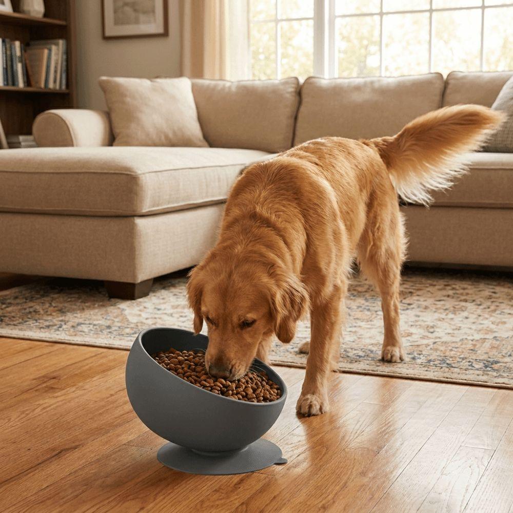 Suction Cups Silicone Pet Bowl Neck Protection Elevated Feeder Portable Dog Food Bowl  Pet Dining