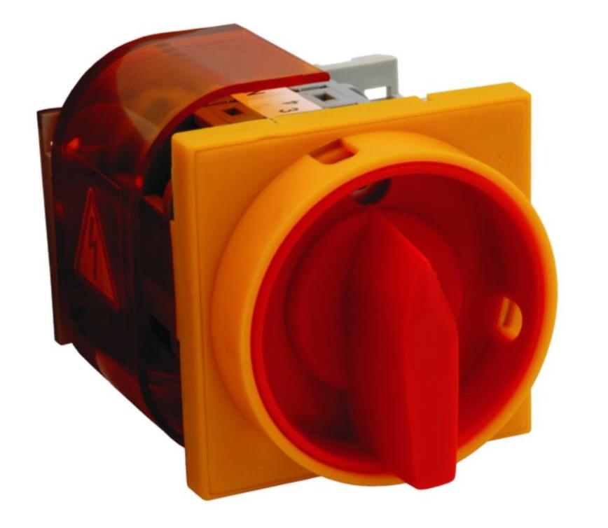 Main Switch With Yellow-Red Front IP65 Lockable Łk32Rgp08