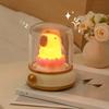 Capybara Night Light Cute Rechargeable Lamp Dimmable Timer Function Dual Mode LED Bedside Lamp Table Decoration