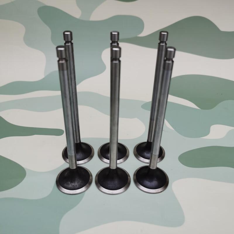 EQ1120GA Engine Intake/Exhaust Valve