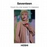 Seventeen СЛЕДУЙТЕ ЗА ТУРОМ СНОВА В КИНО Official Photocard