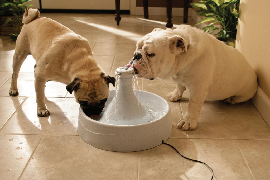 PetSafe Автоматическая поилка для собак и кошек Drinkwell 360 Pet Fountain
