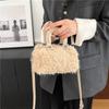 Super Popular Autumn and Winter Niche Furry Bag for Women Versatile Crossbody Handbag Furry Bag