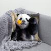Fubao Милые Наволочки с Пандами для Спальни, Гостиной, Дивана, Домашнего Декора, Полиэстеровая Наволочка для Подушки на Молнии