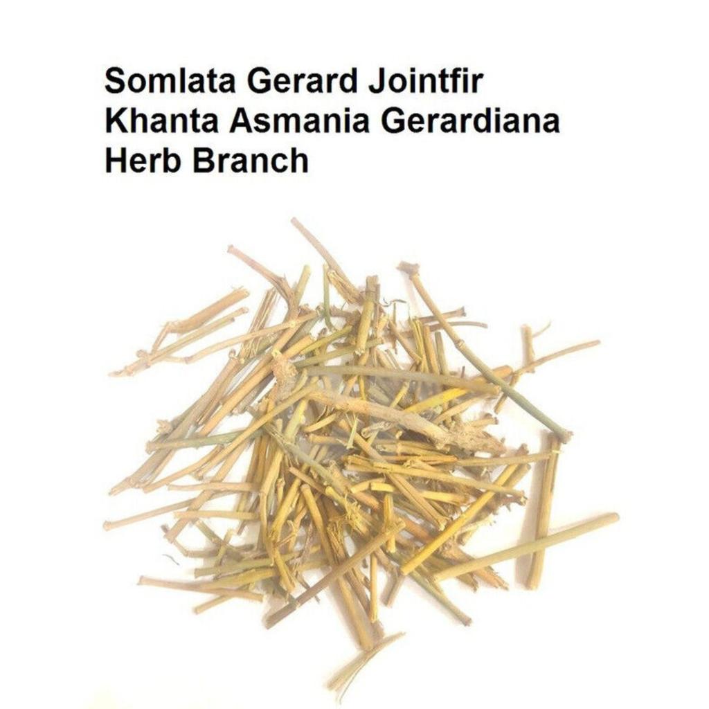 Сомлата Джерард Джойнтфир Ханта Асмания Ветка стебля цельная 500г(17.63 унции))
