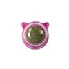 2025 New Lovely Cats Shape Lick Lick Toys Suitable Household Pet Cats Supplies Intresting Animals Ball Toy Home Pet Accessories