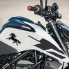 5.5Inch Galloping Horse Silhouette Vinyl Sticker, Scratch-Resistant PVC Decal, for Water Bottles Windows Tumblers Helmets, Horse Lover Decoration,