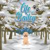 Книга Life of Bailey A True-Life Story : Bailey's First Winter : 5