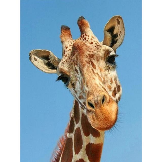 DIY Giraffe 5D Diamond Painting Cross Stitch Full Round Drill Daimond Embroidery Rhinestone