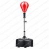 Adult Boxing Training Set with Speed Bag and Target