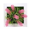 1PC Hanger Plastic Frame Wall Decoration Succulent Plants Potted Photo Frame Wall Sticker
