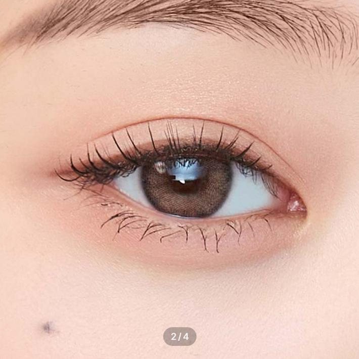 A2G Ежемесячно 12.7 Коричневый