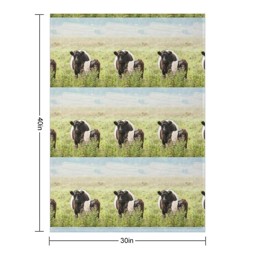 Belted Galloway Cow and Calf Throw Blanket Kid'S Soft Plush Plaid Thin Personalized Gift Blankets