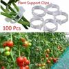 New 50/100 Pieces Of Plant Clips Support Reusable Plastic Connection Fixing Vines Protection Grafting Fixing Tools Home Supplies