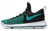 Kd 9 Birds Of Paradise 843392-300