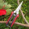 Picking Scissors Powerful Picking Fruit High Carbon Steel Tool Strong Scissors Pruning Branches And Leaves Gardening Scissors