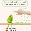 Fashionable Bird Release Rope for Daily Outdoor Activities with Foot Ring And Lobster Clasp Durable Bird Leash for Beloved Birds