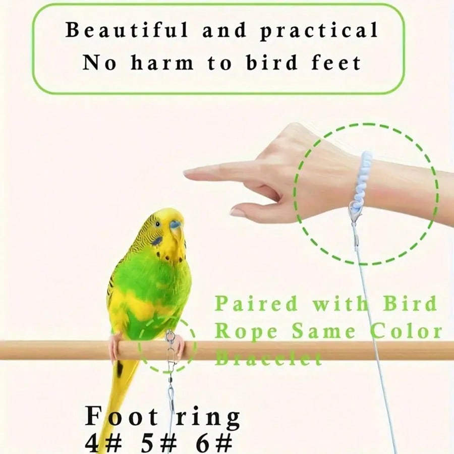 Fashionable Bird Release Rope for Daily Outdoor Activities with Foot Ring And Lobster Clasp Durable Bird Leash for Beloved Birds