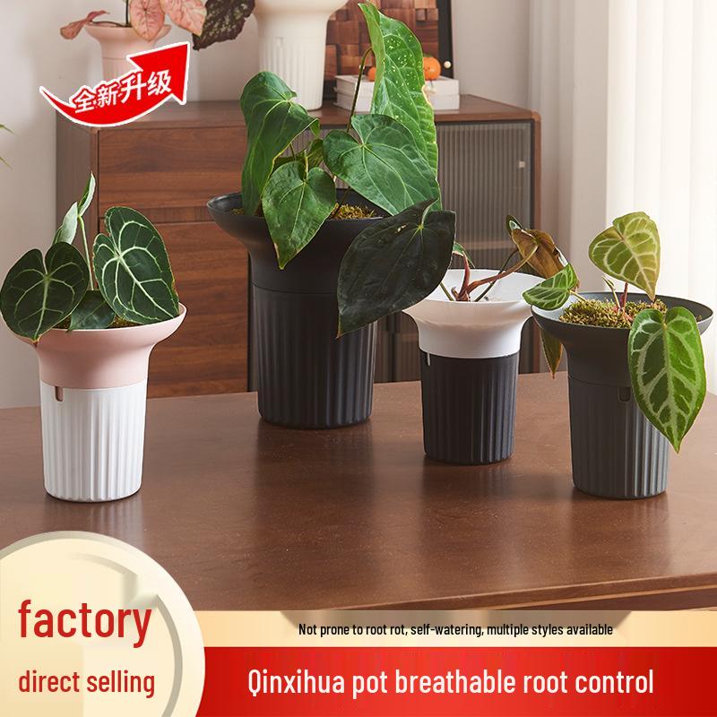 Nordic Style Large Diameter Creative Flower Pot for Phalaenopsis, Spider, and Succulent Plants