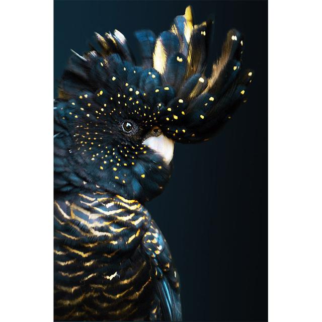 Colorful Beautiful Parrot Bird Graffiti Art Canvas Painting Wall Picture Animals Posters and Prints Living Room Home Decoration No Frame