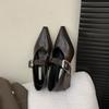 Pointed Mary Jane Single Shoes Women's 2025 Spring and Summer New Fashionable Retro Light Mouth Thick Heel Small Leather Shoes