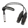 Alvin's Cables XLR Breakout Audio Input Input Cable 10 Pin To Dual XLR 3 Pin Female for Atomos Shogun Monitor Recorder