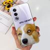 For Oppo A80 5G Case CPH2639 Cute Painted Cover Clear Silicone Soft TPU Phone Case For Oppo A3 Pro A3pro 5G OppoA80 Shell Bumper