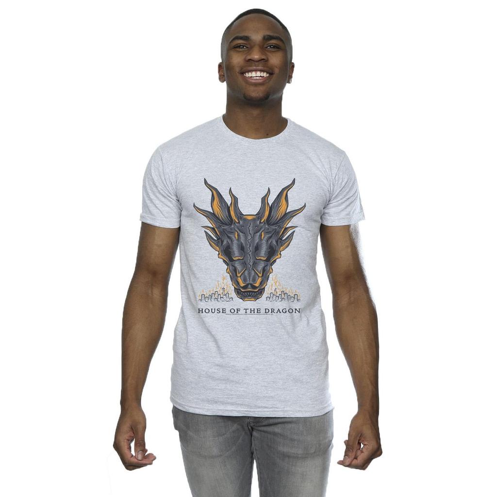 Game Of Thrones: House Of The Dragon Mens Dragon Flames T-Shirt