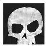 Toy Story Womens/Ladies Skull Fitted T-Shirt