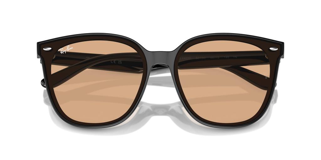 Ray-Ban RB4423D 66 Black Unisex Square Frame Sunglasses