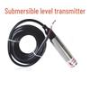 P13 Dual Platinum Submersible Liquid Level Transmitter