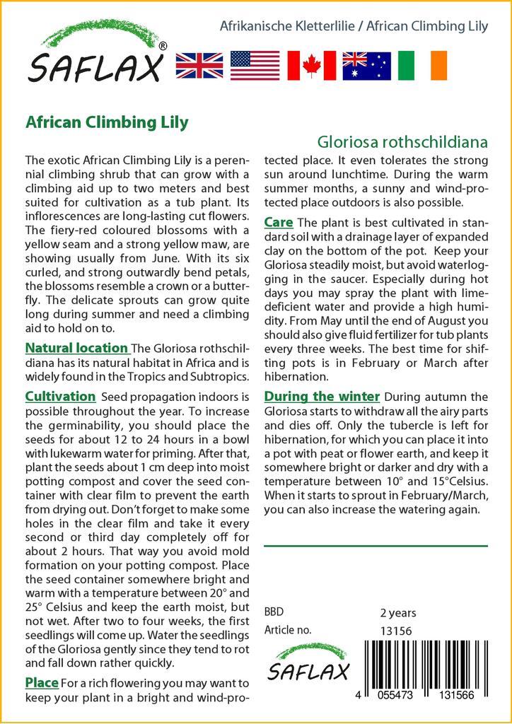 SAFLAX Лилия африканская вьющаяся - 15 семян - Gloriosa rothschildiana