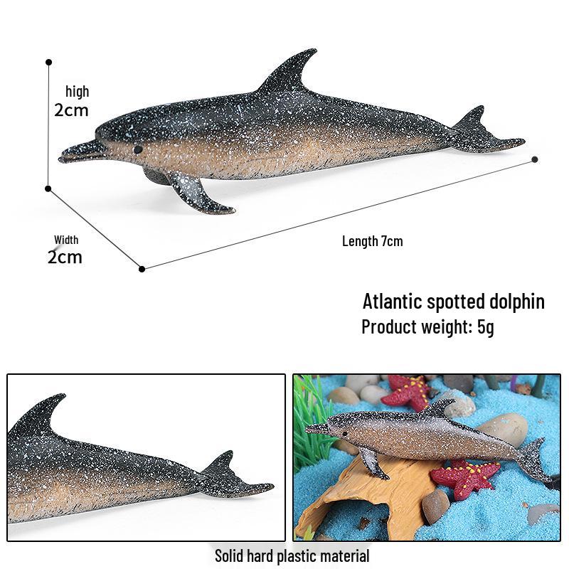 Marine Animal Simulation Models: Jellyfish, Octopus, Sea Shrimp, Sea Anemone, Squid, Horseshoe Crab, Crayfish, Arrowhead