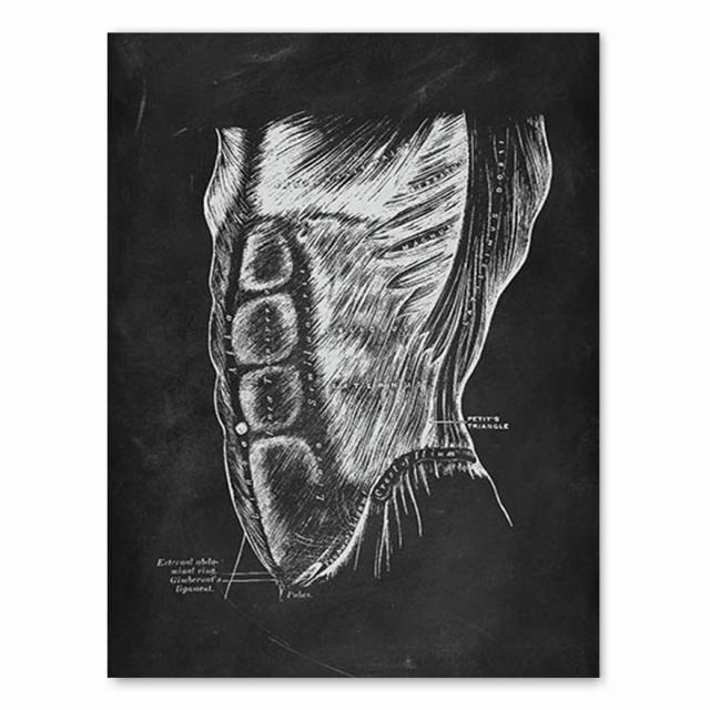 Анатомия человека, художественная работа, медицинская клиника, настенная картина, скелет, орган, мышечная система, винтажный холст с принтом, плакат для обучения телу, без рамки