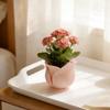 Суккулентный горшок в форме розы Цветочный горшок Креативные мини-горшки для суккулентов Для ежедневного садоводства Декор дома Цветочные горшки