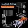 Parrotfish Turtle Floating Feeding Ring for Large Fish Tanks & Koi Aquariums